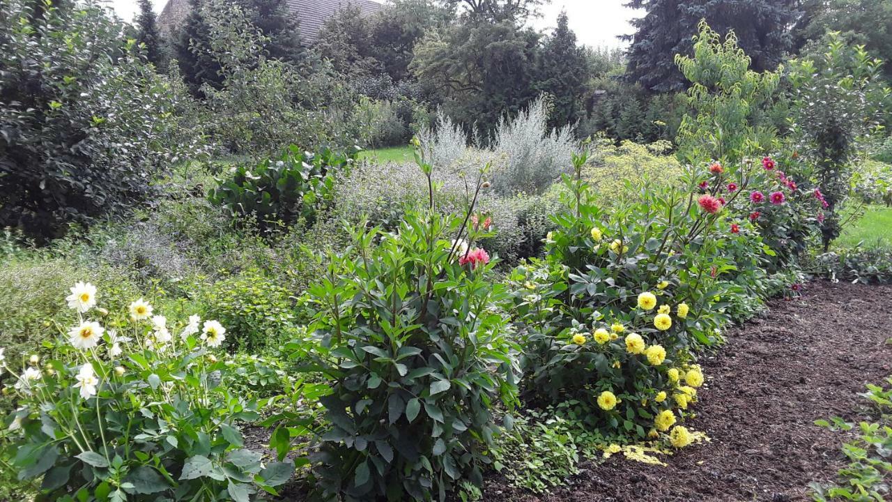 Gaestezimmer Sommer Locktow Zewnętrze zdjęcie