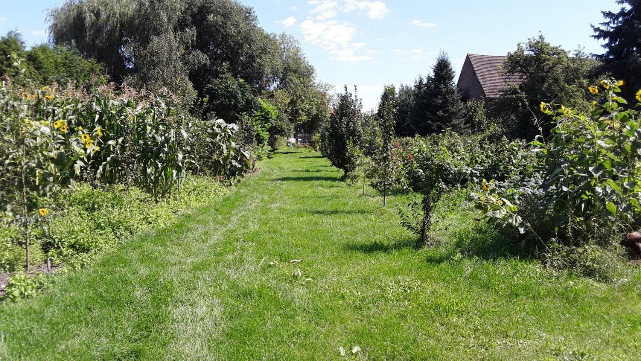 Gaestezimmer Sommer Locktow Zewnętrze zdjęcie