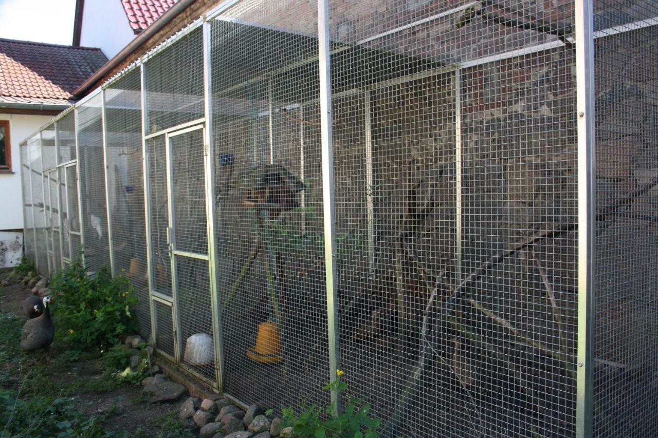 Gaestezimmer Sommer Locktow Zewnętrze zdjęcie